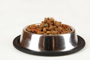 Trockenfutter Zwergpinscher