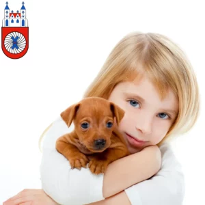 Mehr über den Artikel erfahren Zwergpinscher Züchter und Welpen in Hameln