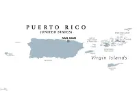 Zwergpinscher Züchter in Puerto Rico,Estado Libre Asociado de Puerto Rico Zwergpinscher Züchter in Puerto Rico,Estado Libre Asociado de Puerto Rico
