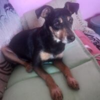 TINUI - zauberhafte kleine Kuschelmaus sucht ihr Herzenszuhause!