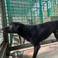 🆘Yoru ist am Verhungern - er hält nicht mehr lange durch🆘VIDEOS