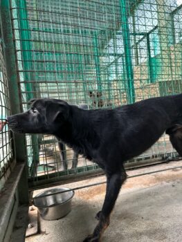 🆘Yoru ist am Verhungern - er hält nicht mehr lange durch🆘VIDEOS
