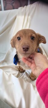 Fino sucht seine Familie