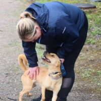 Aras Rüde • geb.ca. 2020-2022 • 45cm • 10kg (kennt Katzen)