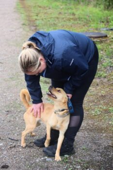 Aras Rüde • geb.ca. 2020-2022 • 45cm • 10kg (kennt Katzen)